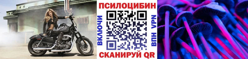 купить наркоту  Жердевка  Галлюциногенные грибы Magic Shrooms 