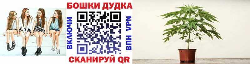 Канабис OG Kush  купить   Жердевка 